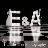 Little Tree Wedding Photography 1093078 Image 7